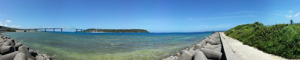 モルフォ（ソフト開発）のトップ画像