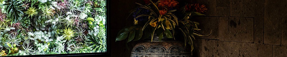 オリーブスパのトップ画像