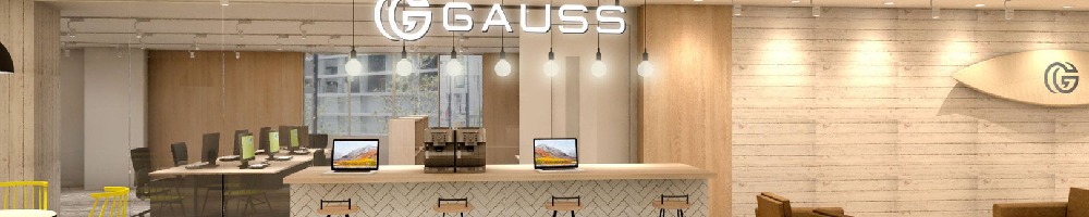 GAUSSのトップ画像