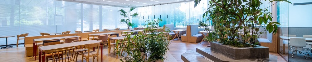 松井証券のトップ画像