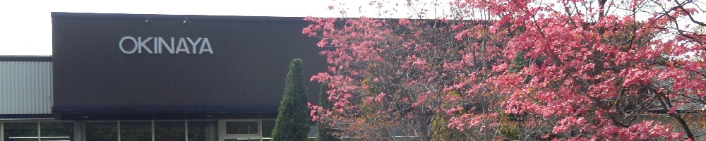オキナヤのトップ画像
