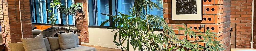 ミナケアのトップ画像