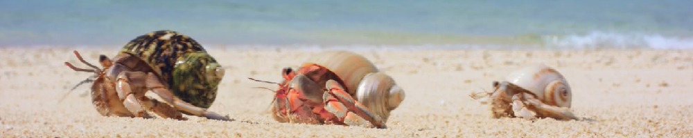 プレサンスコーポレーションのトップ画像