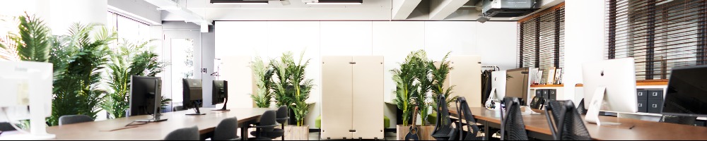 RFA digital brainsのトップ画像