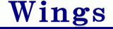 ウイングス教育研究所のロゴ