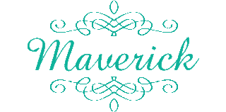 有限会社マヴェリックのロゴ