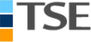 ティエスイー（ソフト開発）のロゴ