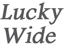 カジノ おすすめ スロットのロゴ