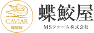 MSファームのロゴ