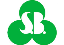 システムブレーンのロゴ