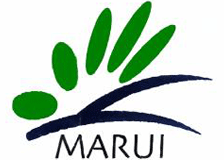 丸伊運輸のロゴ