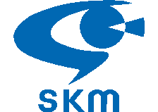 エスケイエムのロゴ