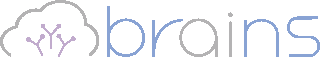ブレインズテクノロジーのロゴ