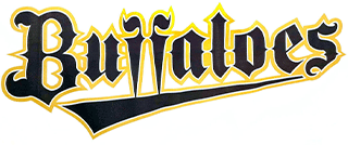 オリックス野球クラブのロゴ