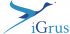 iGrusのロゴ